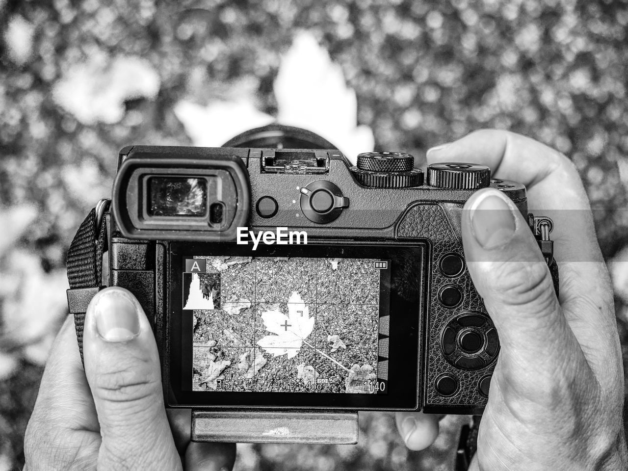 hand, black and white, camera, holding, technology, black, photographing, monochrome photography, monochrome, one person, activity, photographic equipment, focus on foreground, close-up, white, retro styled, digital slr, leisure activity, day, adult, lifestyles, personal perspective, outdoors