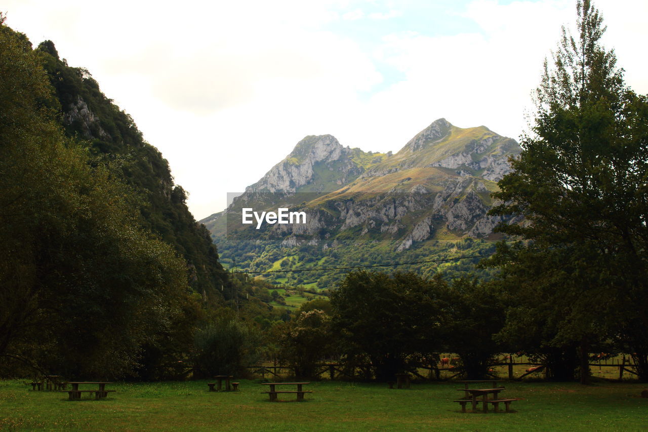 SCENIC VIEW OF TREES ON LANDSCAPE AGAINST SKY