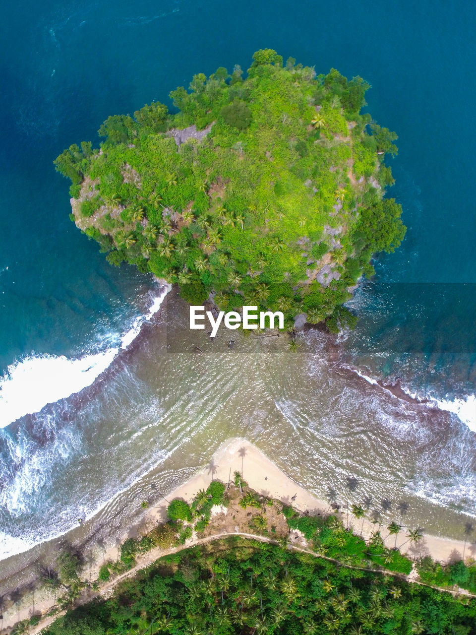 High angle view of trees on beach