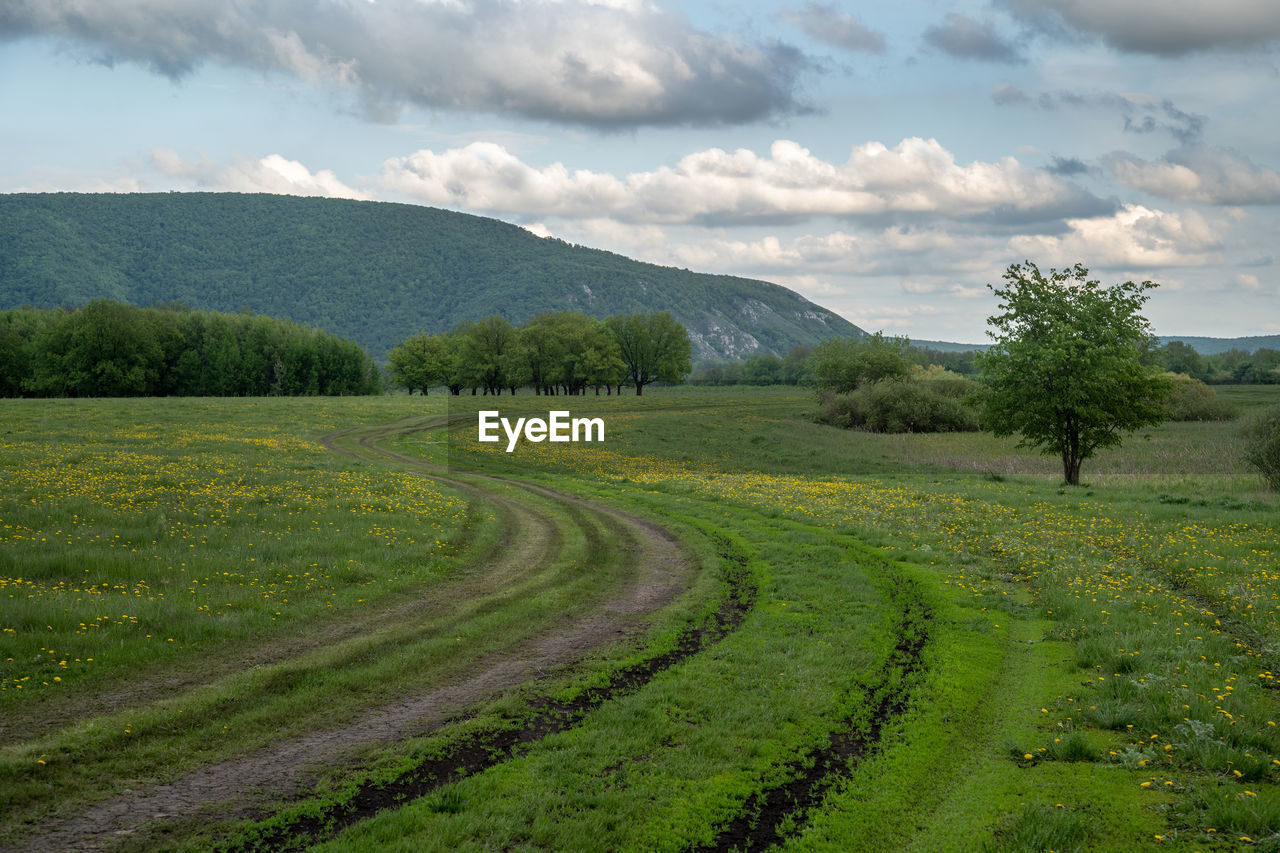 SCENIC VIEW OF GRASSY FIELD AGAINST SKY