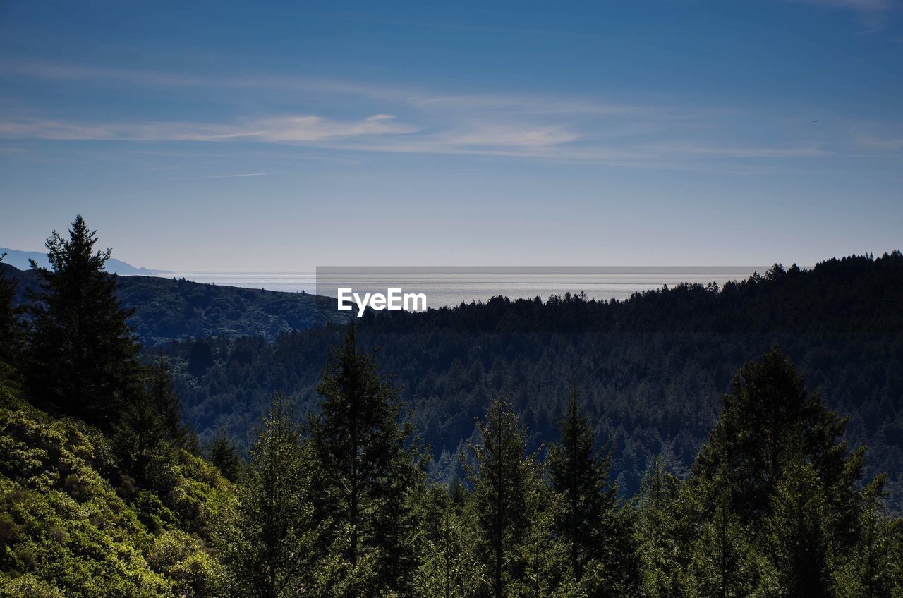 Majestic view of trees and mountains against sky