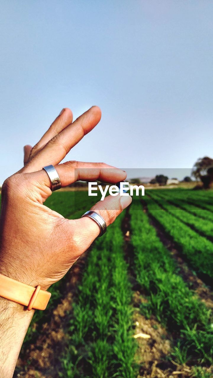Cropped hand of man holding tiny ball on agricultural field