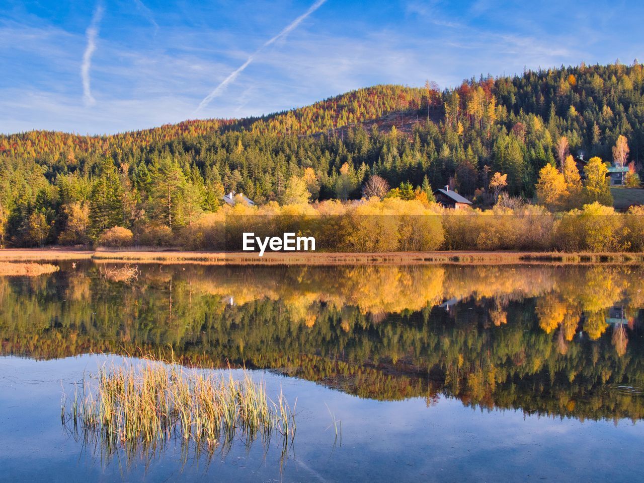 Scenic view of lake by trees against sky