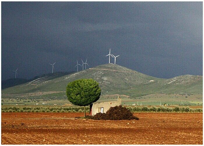 WIND TURBINES ON FIELD