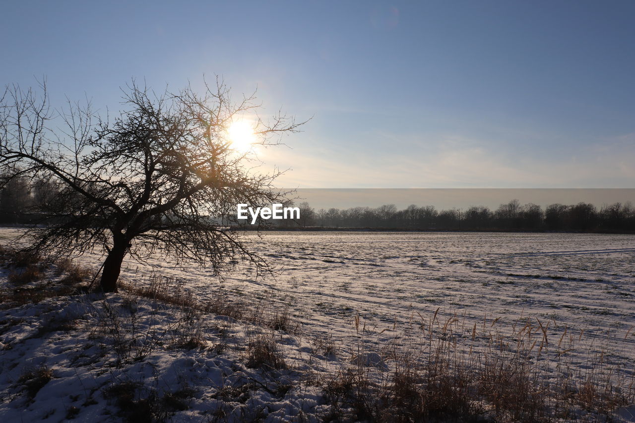 SCENIC VIEW OF SNOW COVERED FIELD AGAINST BRIGHT SUN