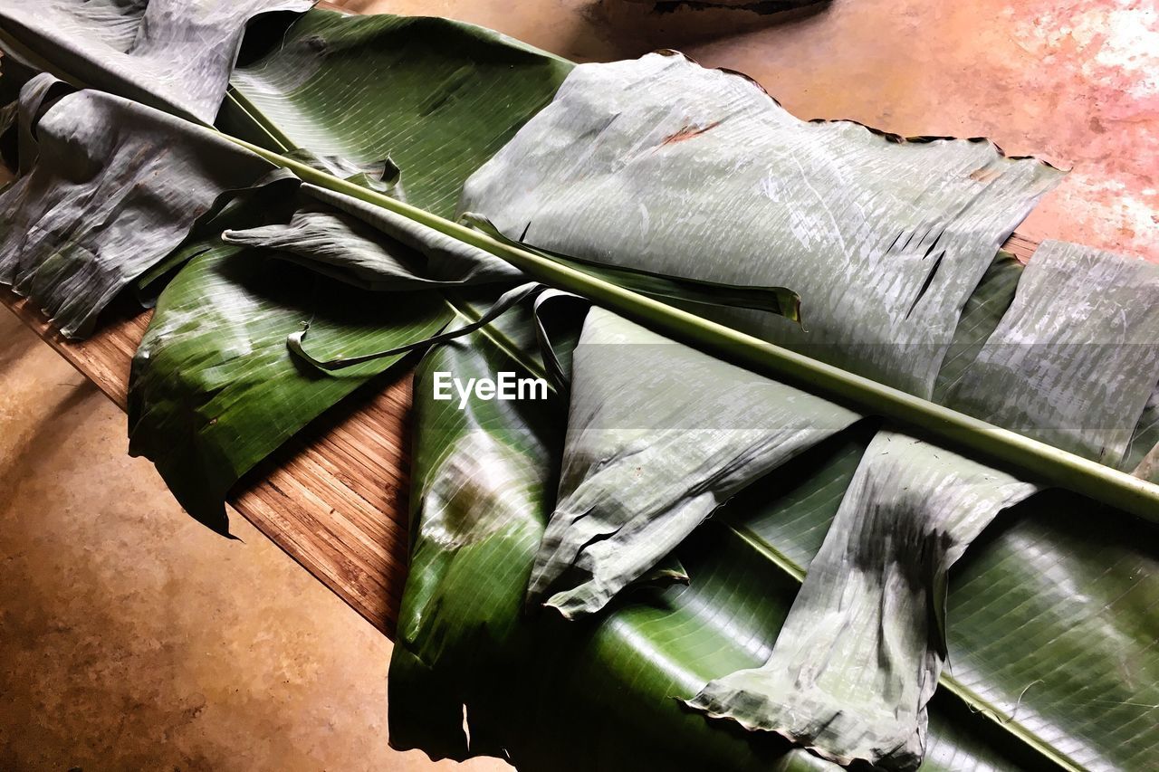 HIGH ANGLE VIEW OF LEAF ON PLANT IN KITCHEN