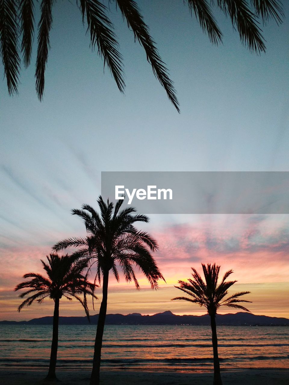 Silhouette palm trees at beach against sky during sunset