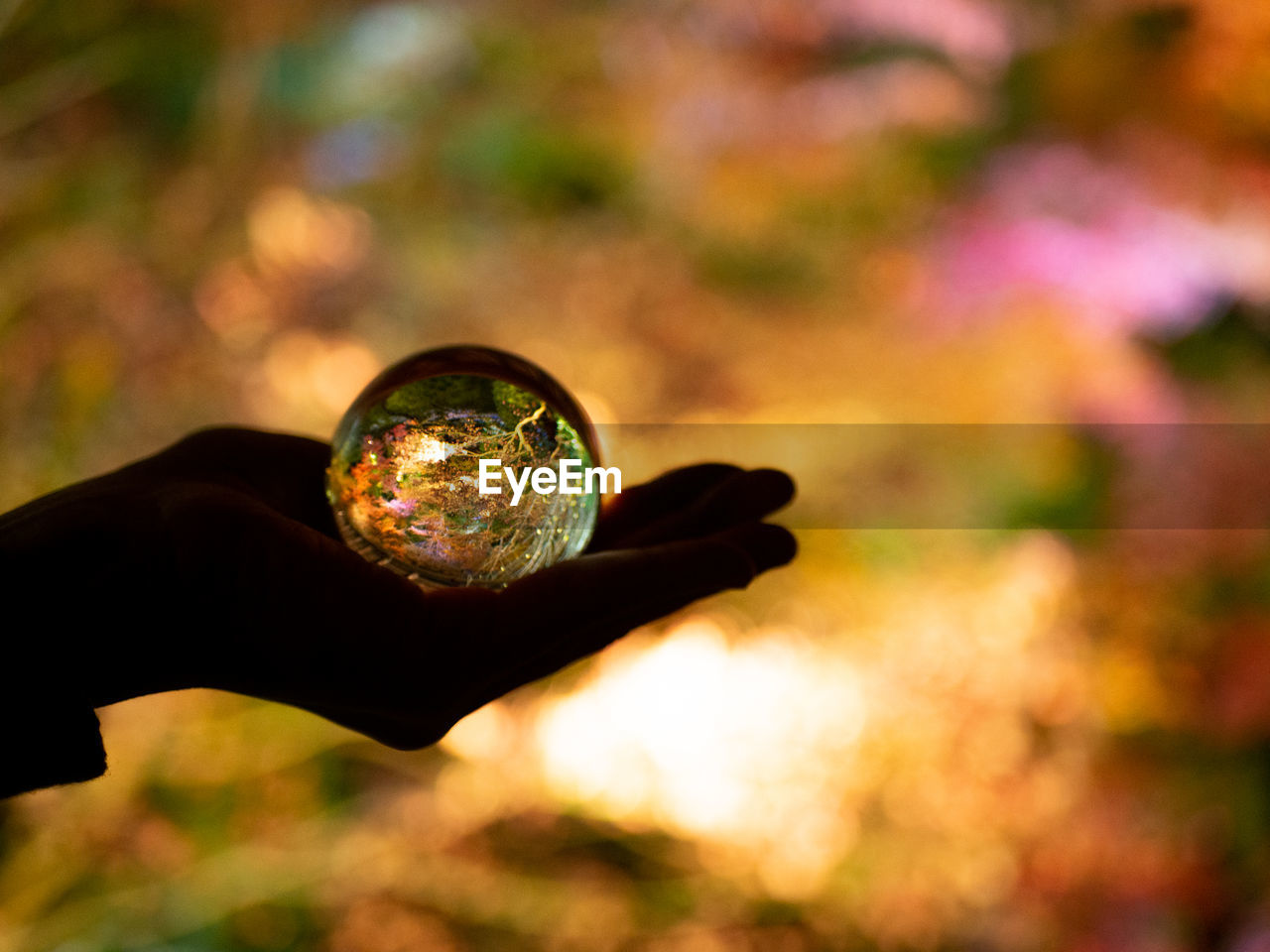 CLOSE-UP OF HUMAN HAND HOLDING CRYSTAL BALL