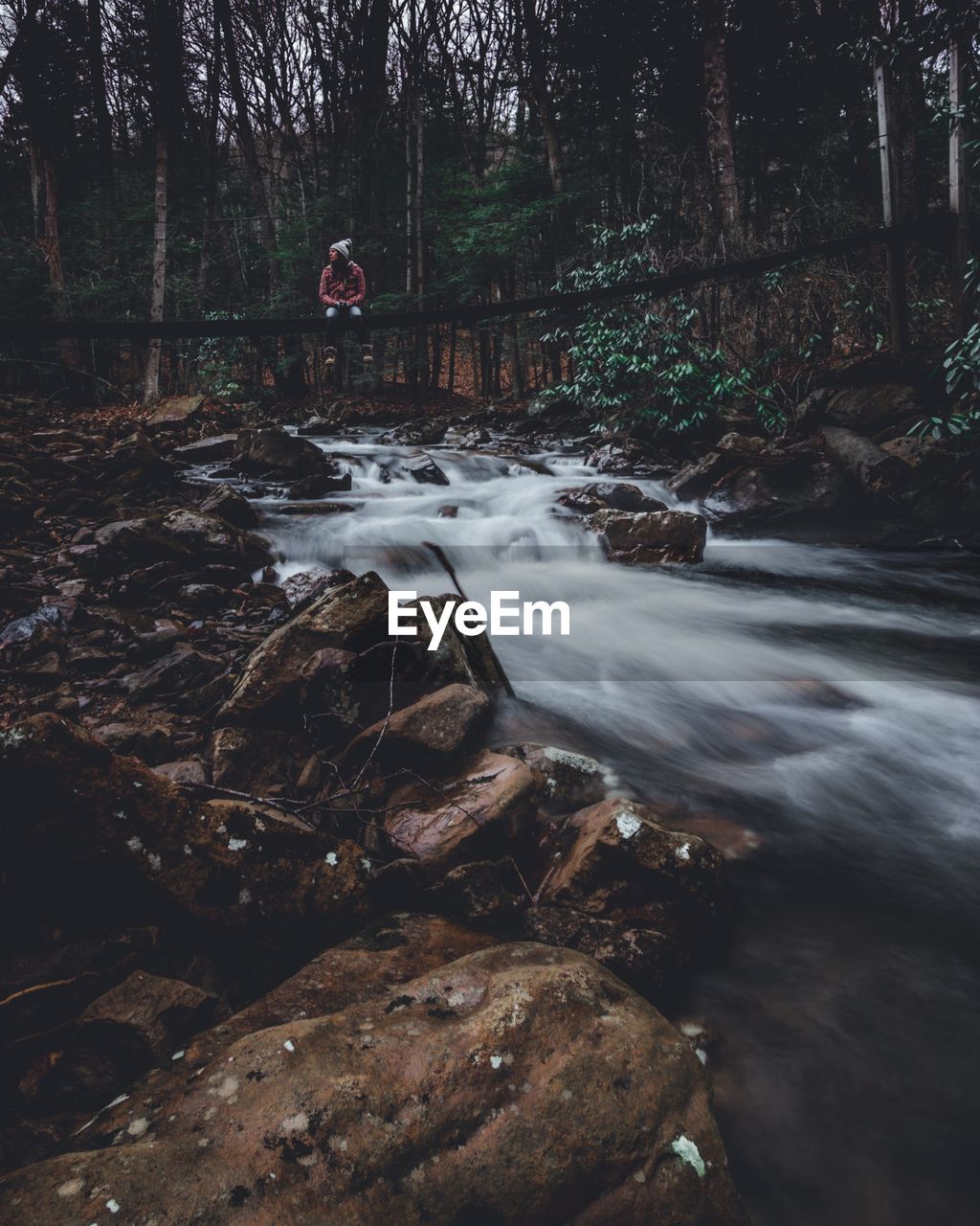 Mid adult woman sitting on log over river in forest