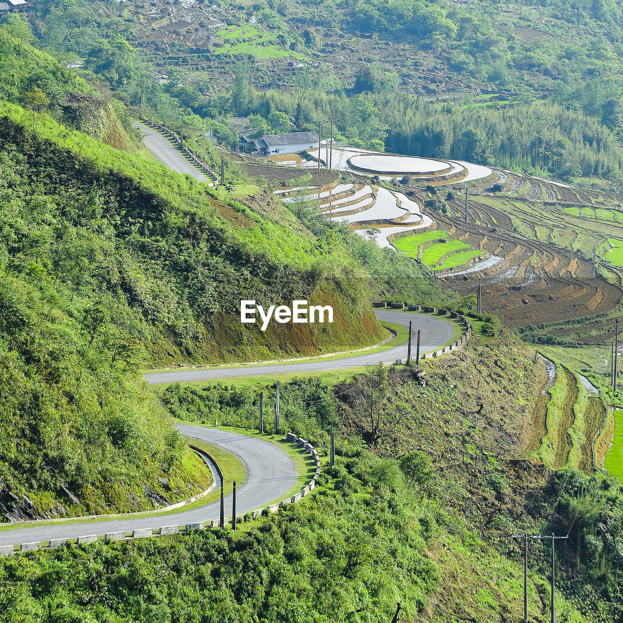 High angle view of road amidst trees