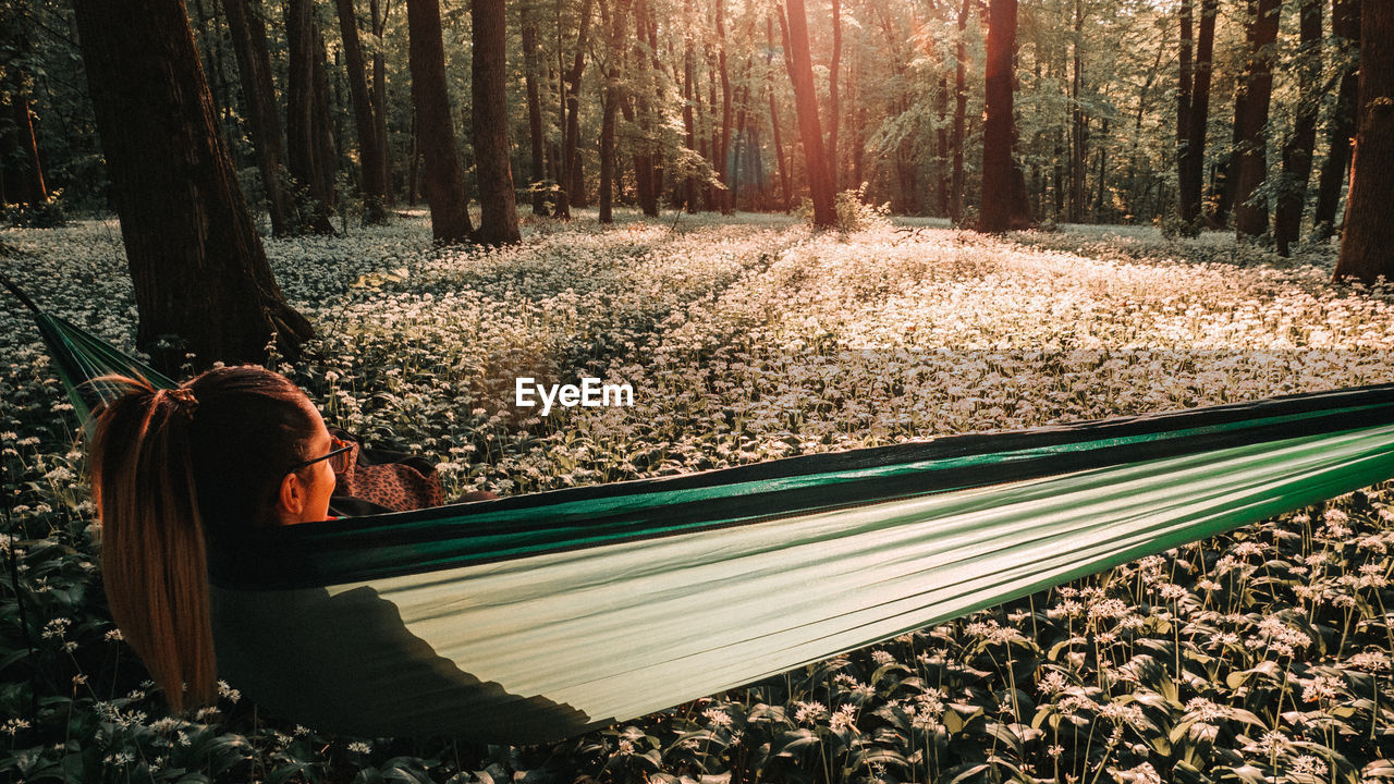Watching sunset in hammock, surrounded by wild flowers in forest