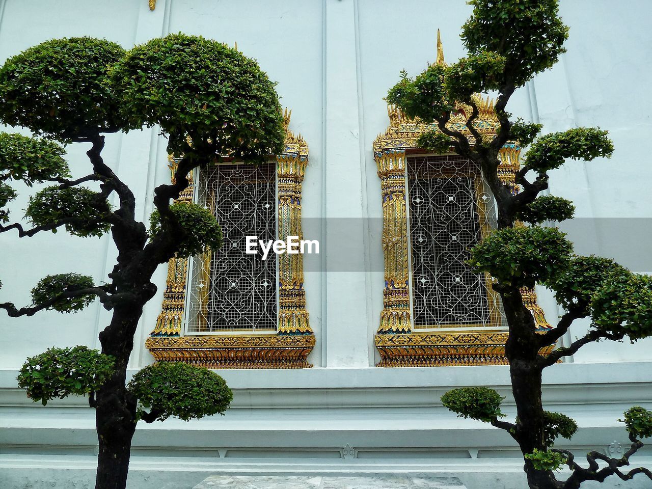 Low angle view of trees against wat pho