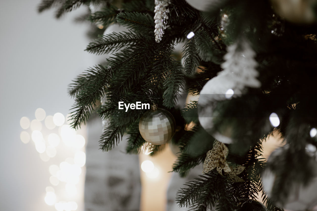 Low angle view of christmas tree