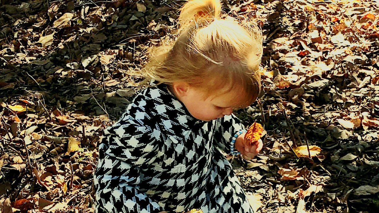 High angle view of cute girl holding leaf during autumn