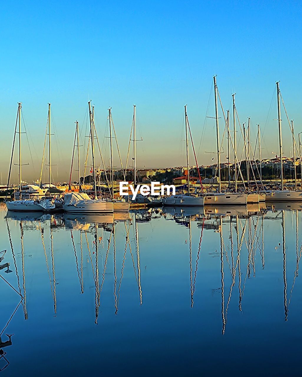 SAILBOATS MOORED IN HARBOR