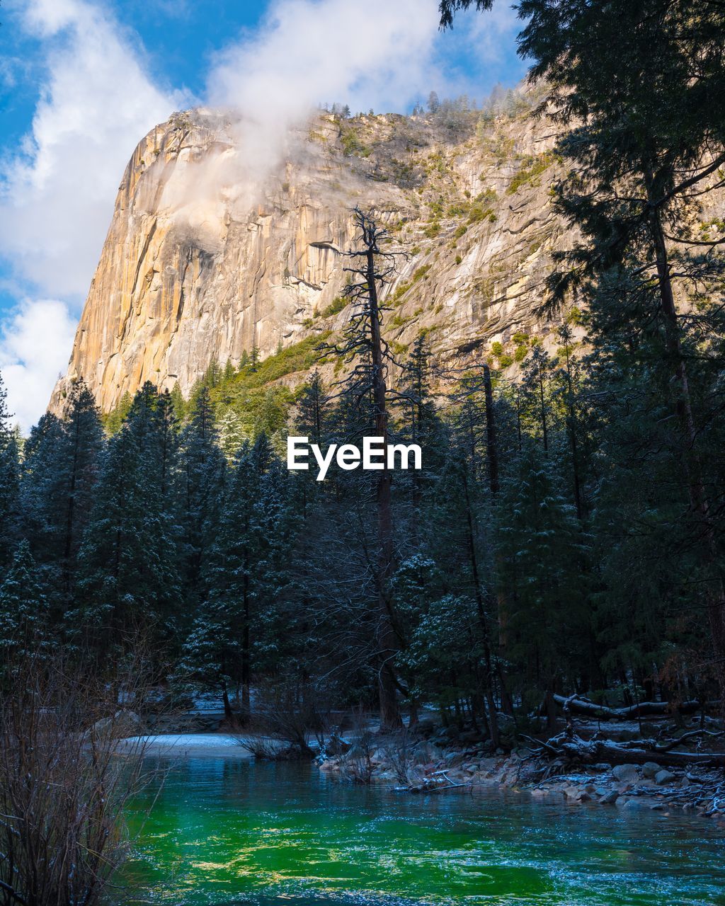 Scenic view of lake by trees against mountain in forest