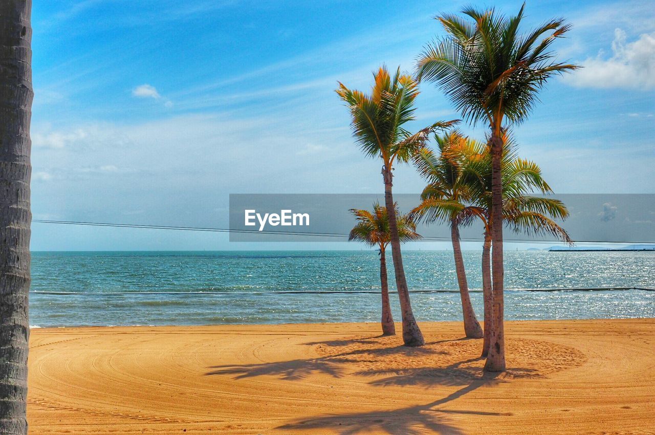 Palm trees on beach against sky