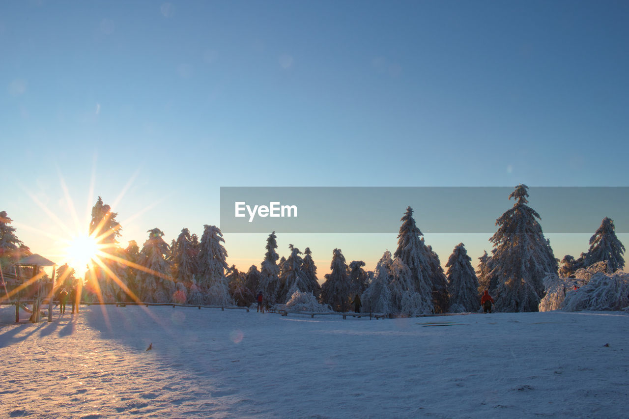 SCENIC VIEW OF SNOW COVERED FIELD AGAINST SKY