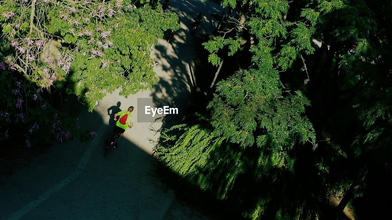 High angle view of man riding bicycle on street by trees