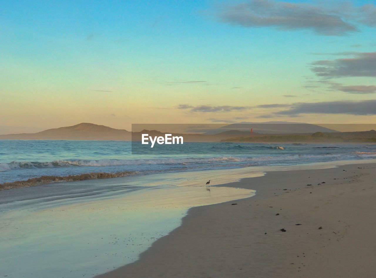 Scenic view of beach during sunset