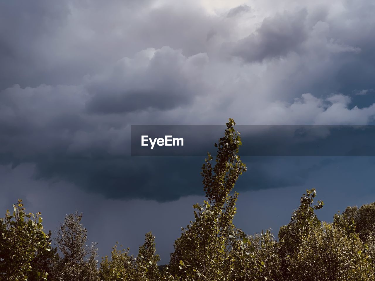 sky, cloud, nature, tree, plant, environment, beauty in nature, storm, storm cloud, sunlight, no people, scenics - nature, dramatic sky, outdoors, landscape, forest, overcast, morning, land, cloudscape, pinaceae, dusk, pine tree, coniferous tree, hill, horizon, tranquility, growth, thunderstorm