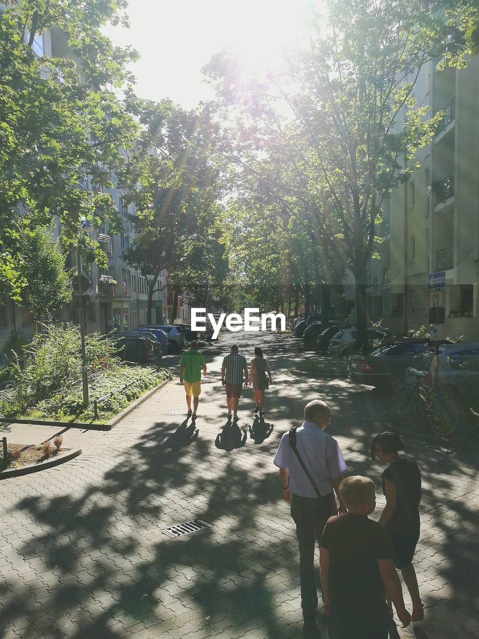 PEOPLE WALKING ON ROAD IN FOREST