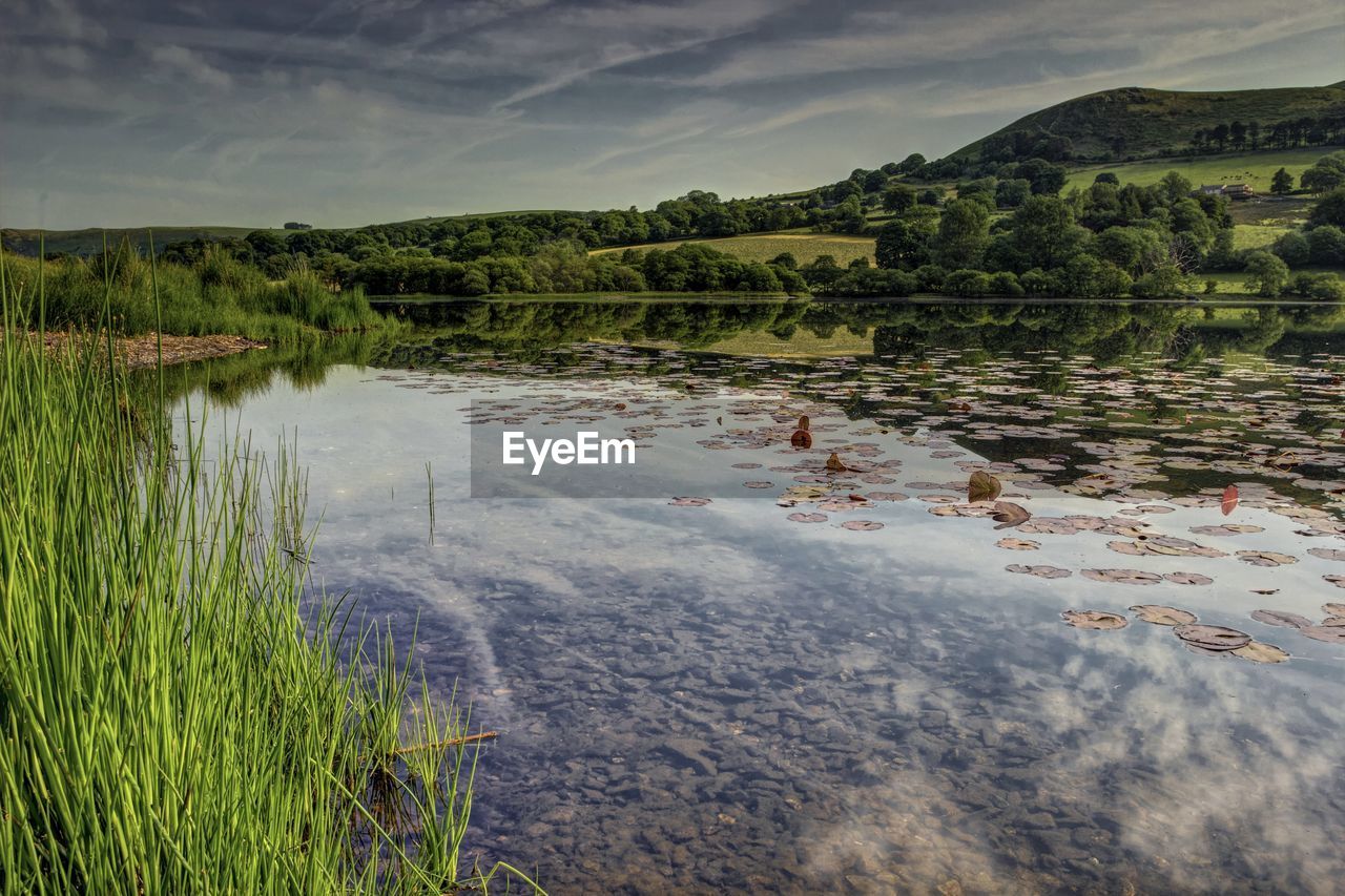 SCENIC VIEW OF LAKE AND PLANTS AGAINST SKY