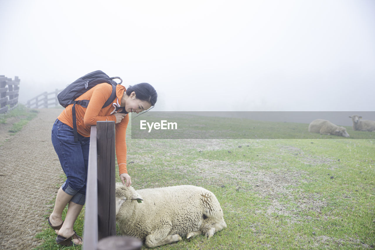 Side view of smiling woman stroking sheep at farm during foggy weather