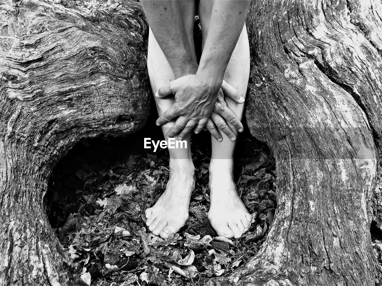 Cropped image of person touching his legs by tree trunk