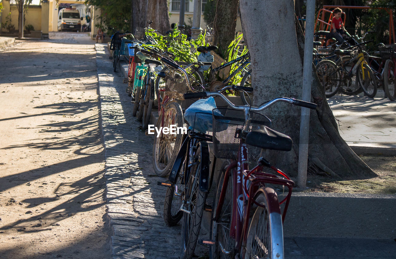 BICYCLES PARKED BY TREE