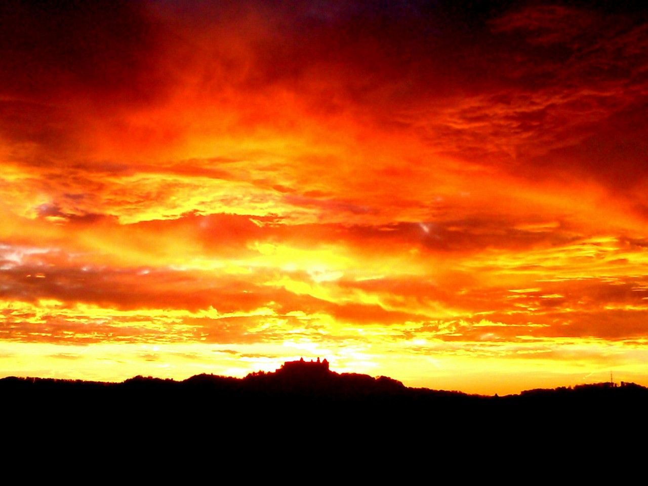 SILHOUETTE OF TREES DURING SUNSET