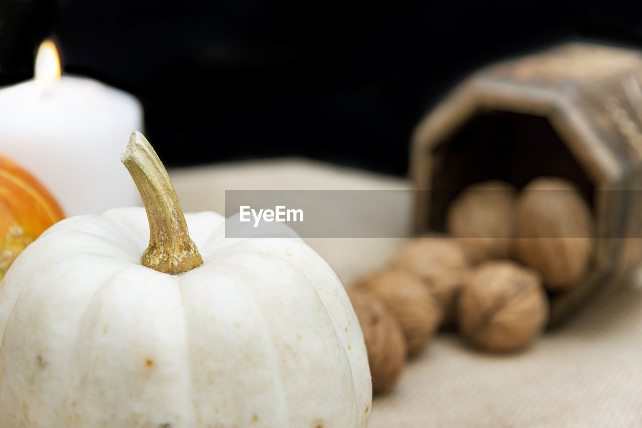 CLOSE-UP OF PUMPKIN AGAINST WHITE BACKGROUND