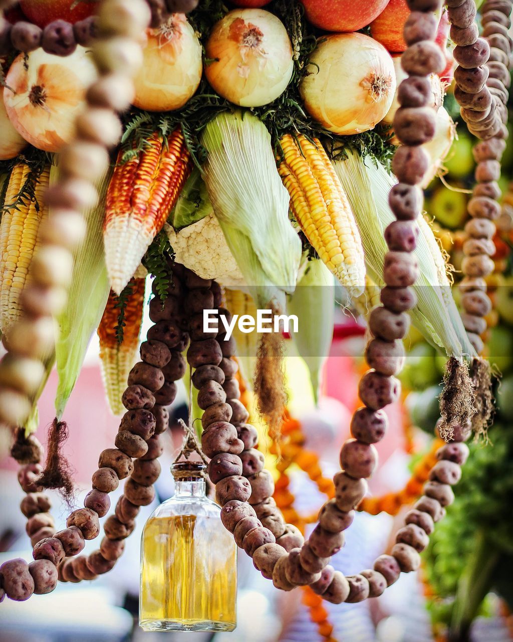 Close-up of vegetables hanging for sale at market