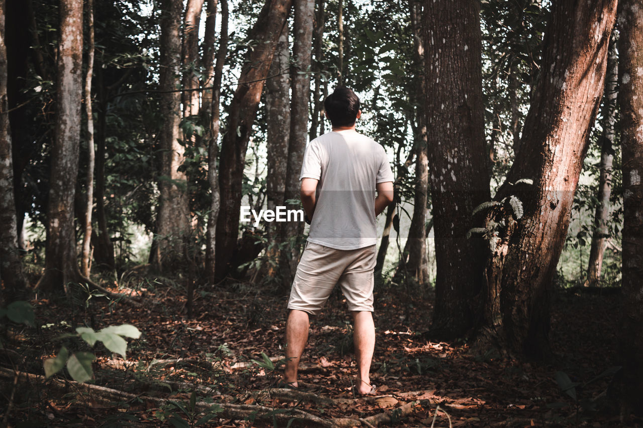 REAR VIEW OF MAN STANDING IN FOREST