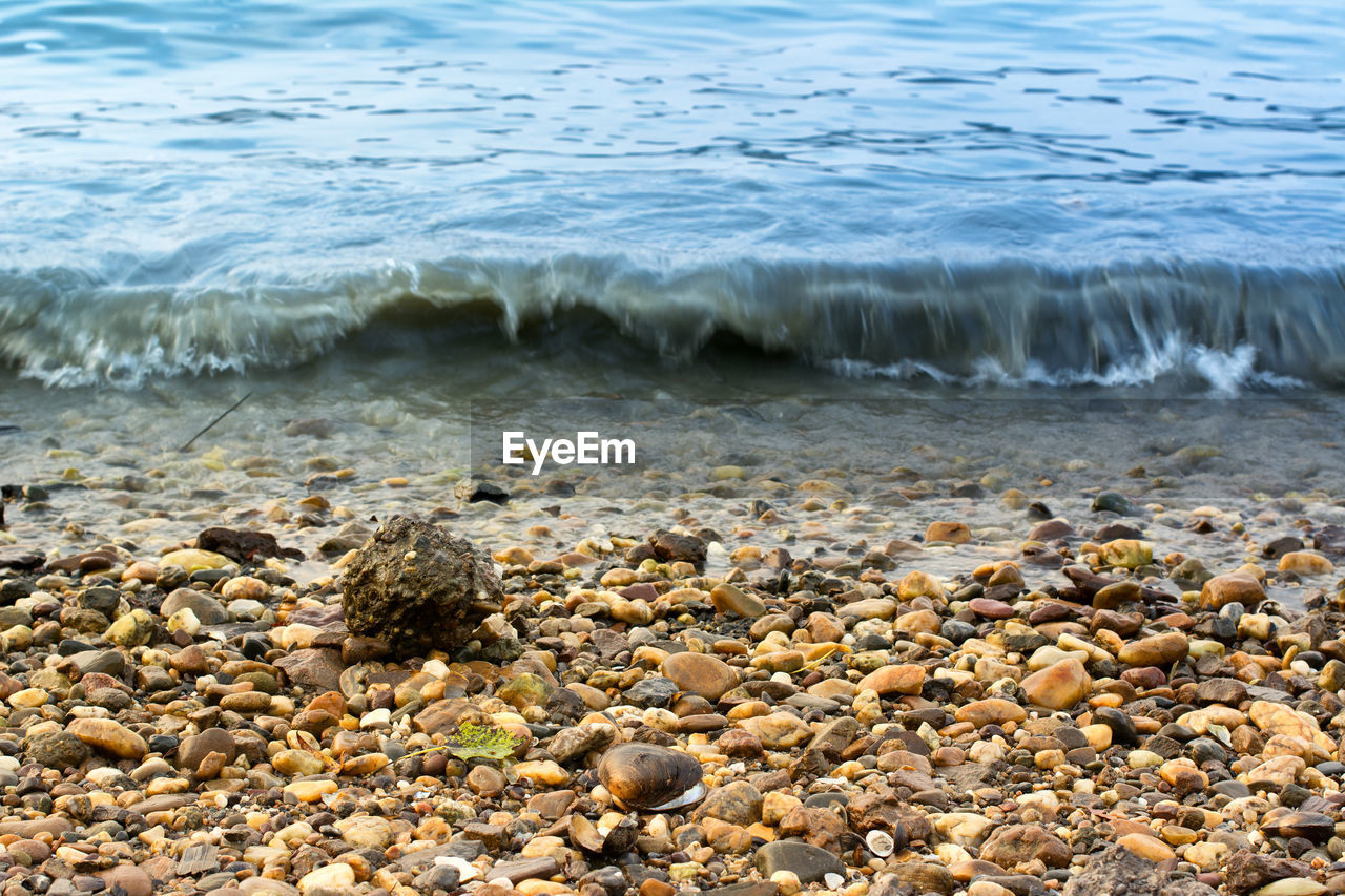 VIEW OF PEBBLE BEACH