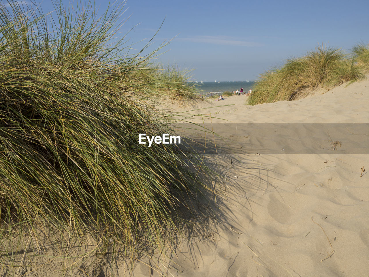 SCENIC VIEW OF SAND DUNES AGAINST SKY