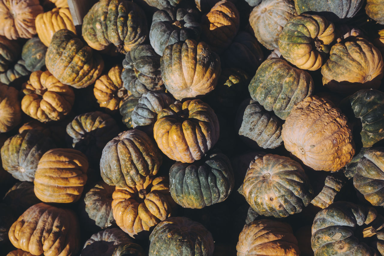 food and drink, food, autumn, large group of objects, pumpkin, abundance, healthy eating, freshness, vegetable, no people, wellbeing, full frame, leaf, backgrounds, nature, produce, flower, close-up, day, pattern, winter squash, still life, high angle view, plant, outdoors, squash - vegetable, directly above