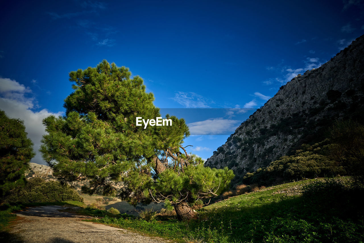 scenic view of mountains against clear blue sky