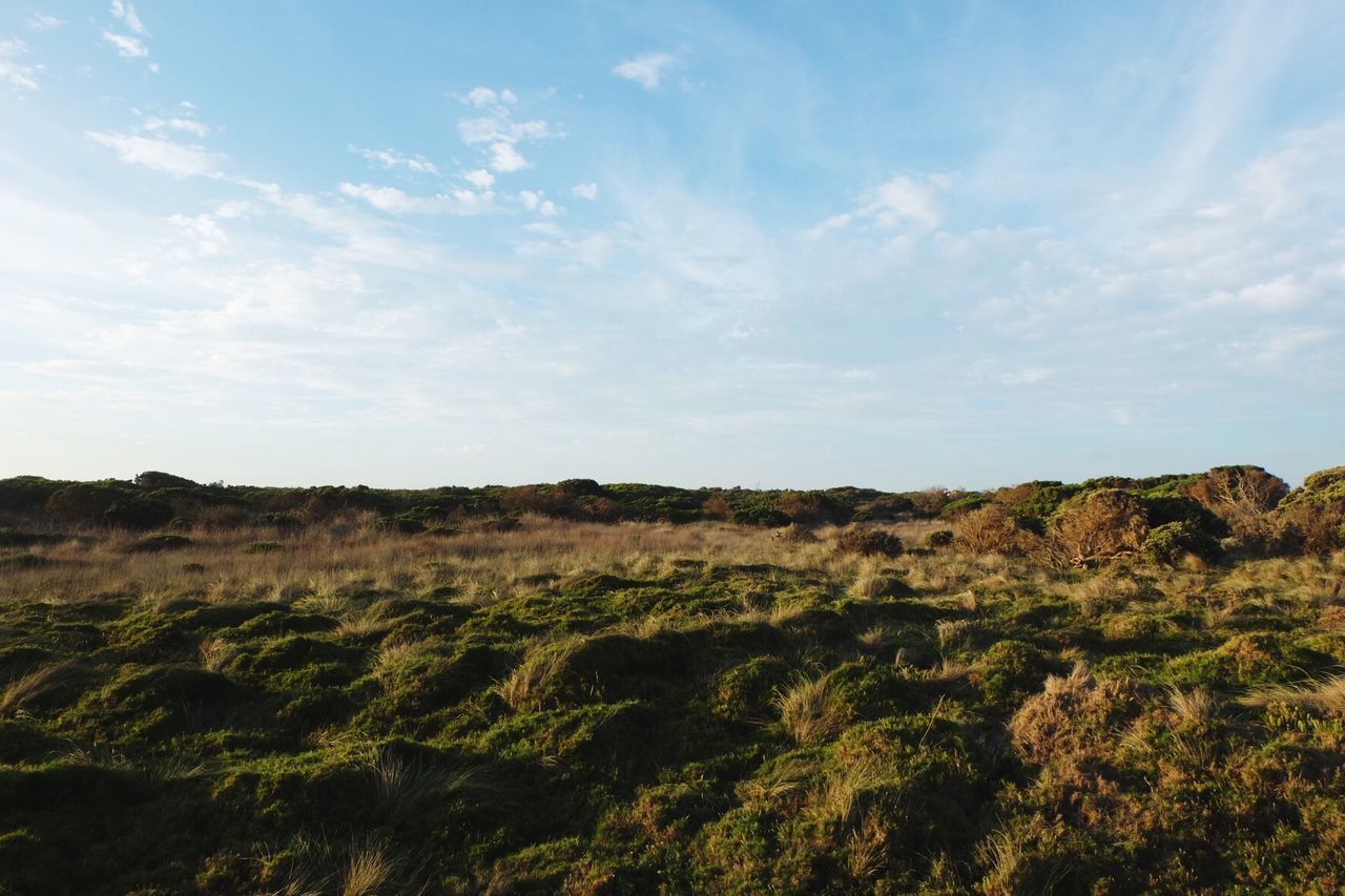 Scenic view of landscape against cloudy sky