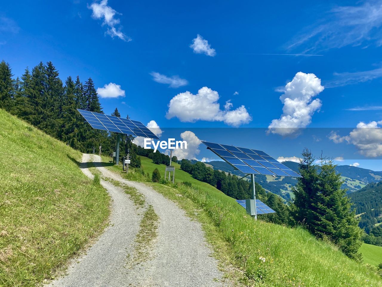 SCENIC VIEW OF ROAD AMIDST TREES AGAINST SKY