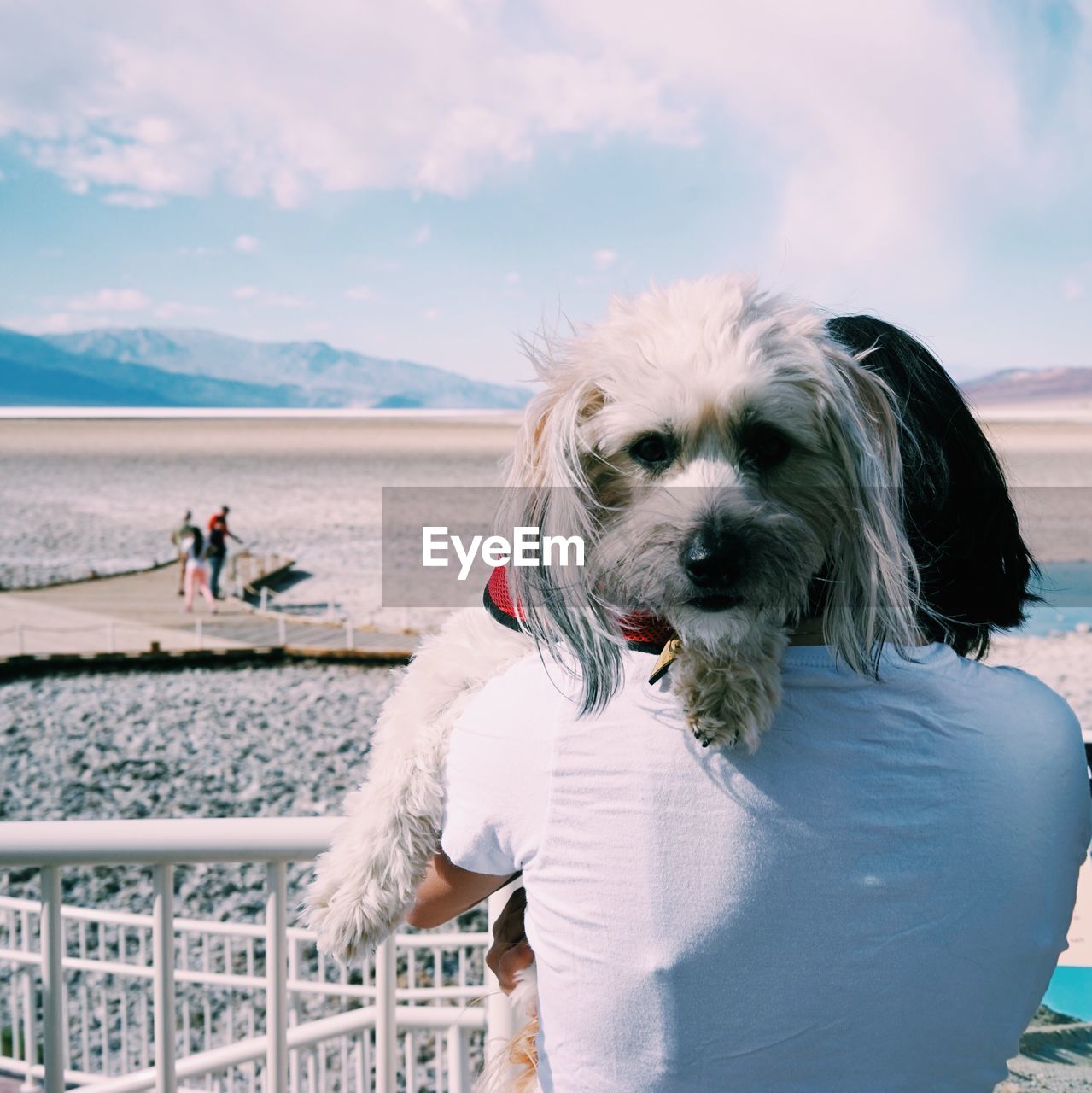 Woman carrying dog by railing at badwater basin