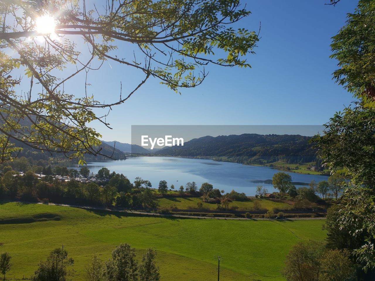 SCENIC VIEW OF LAKE BY TREES AGAINST SKY