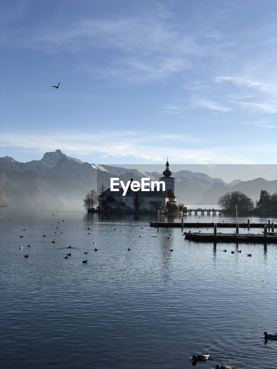 VIEW OF BIRDS IN A LAKE