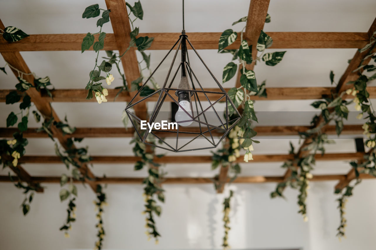 Low angle view of potted plant and lamp hanging against wall