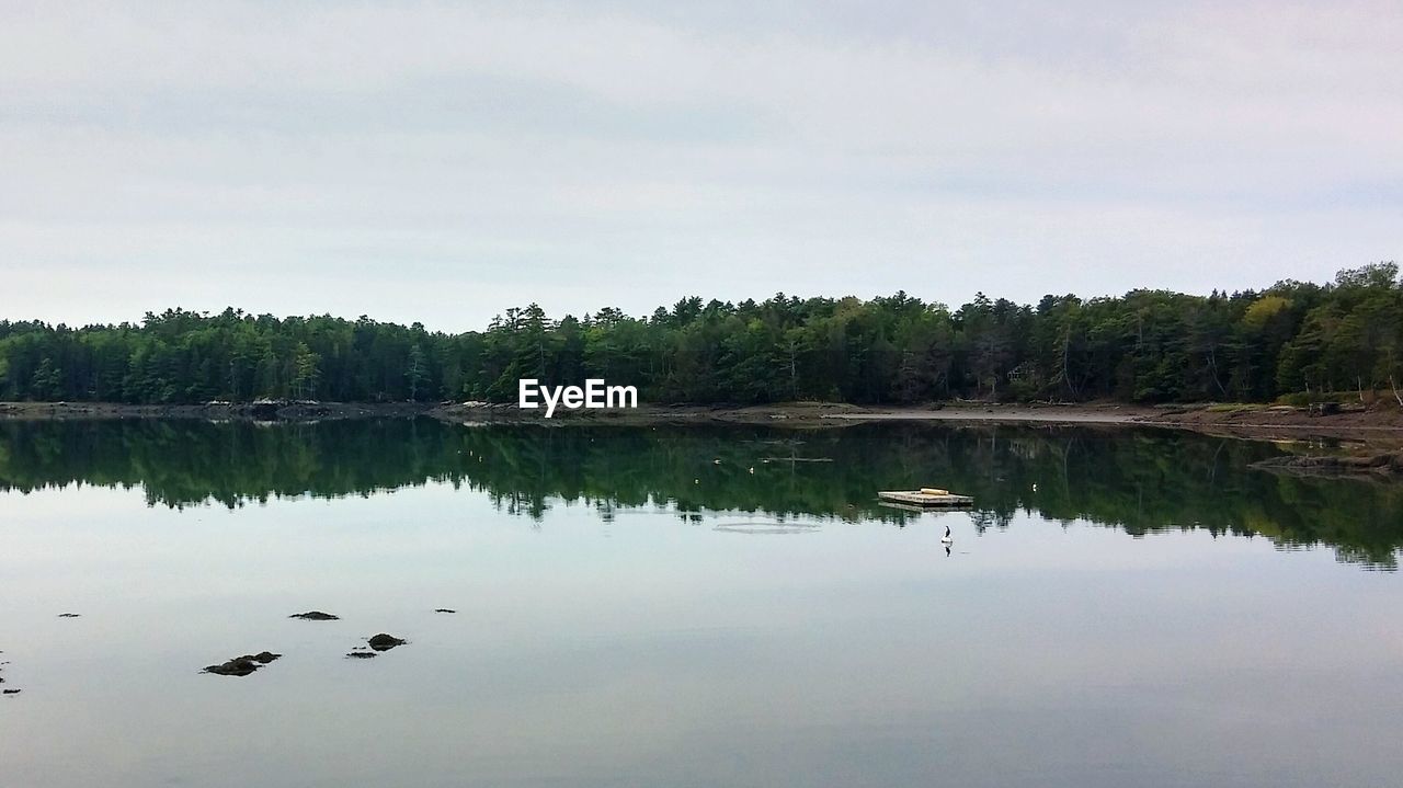 REFLECTION OF TREES IN LAKE AGAINST SKY