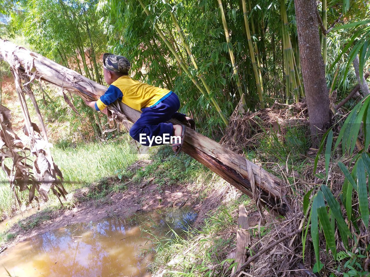 MAN PLAYING IN FOREST