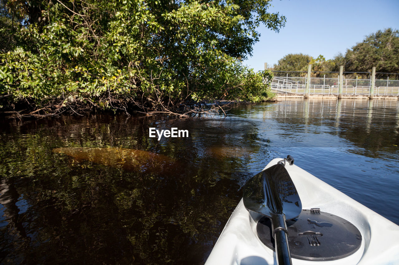 water, tree, boat, plant, nature, vehicle, transportation, nautical vessel, boating, reflection, mode of transportation, lake, watercraft, day, travel, no people, sky, outdoors, tranquility, waterway, travel destinations, beauty in nature, canoe, paddle, scenics - nature, tranquil scene, tourism, sunlight