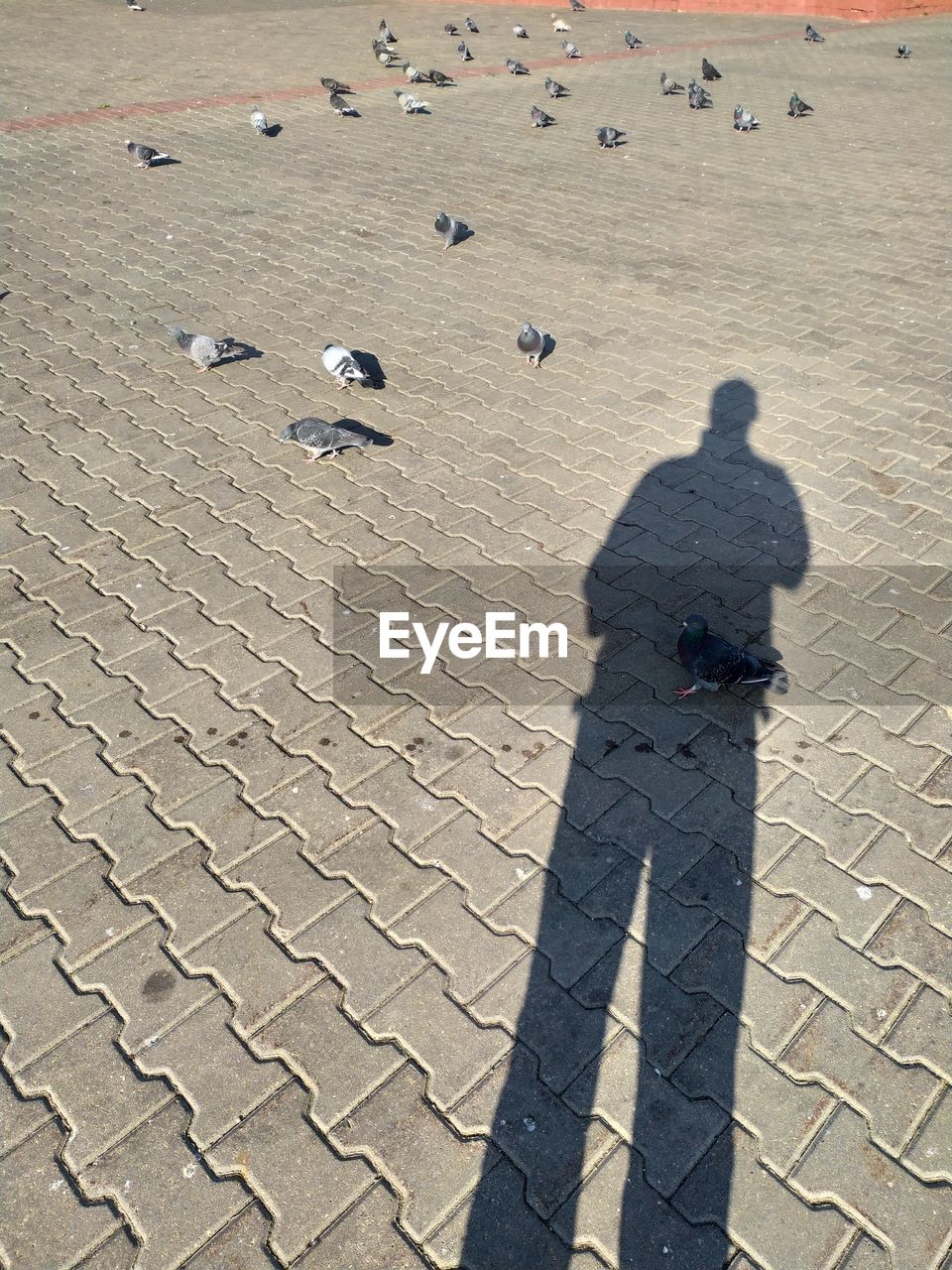 HIGH ANGLE VIEW OF WOMAN SHADOW ON SAND