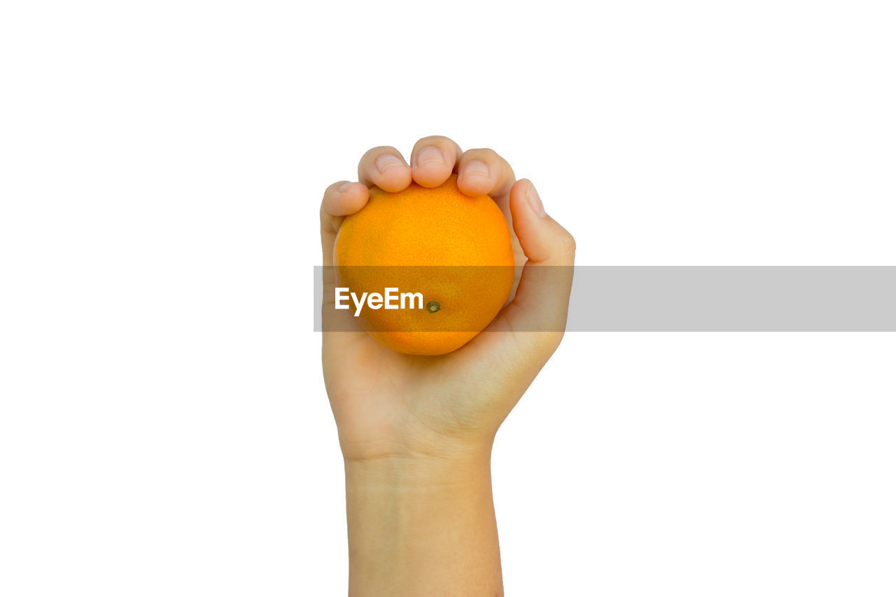 Close-up of hand holding fruit against white background