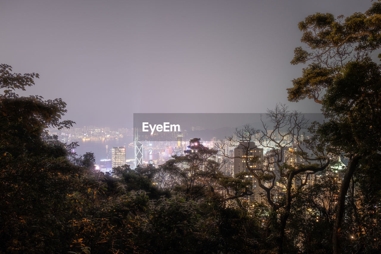 high angle view of trees in city